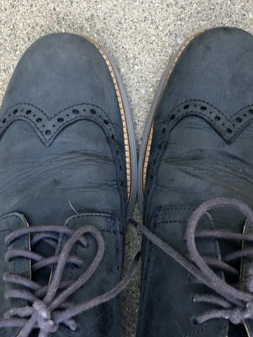 COLE HAAN Modern Blue Oxford Wingtip Shoes Men's 10 M Blue Leather Suede C26473